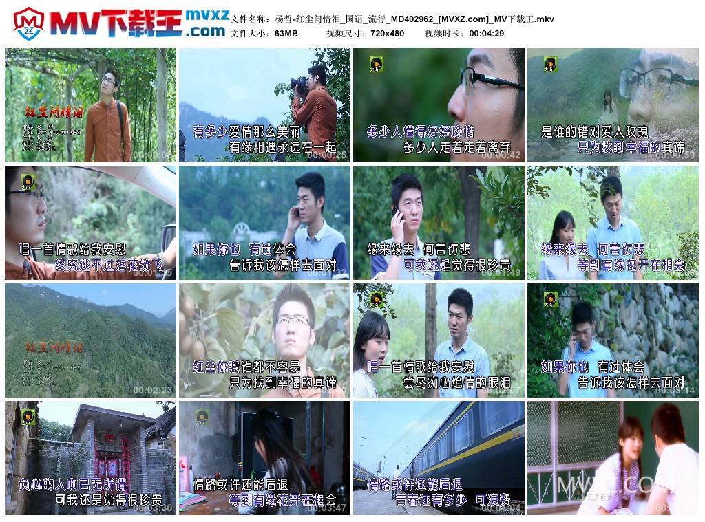 杨哲-红尘问情泪_国语_流行_MD402962